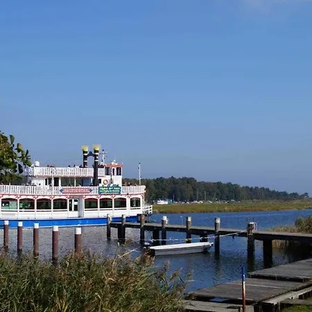 Daniela 1 פרראו