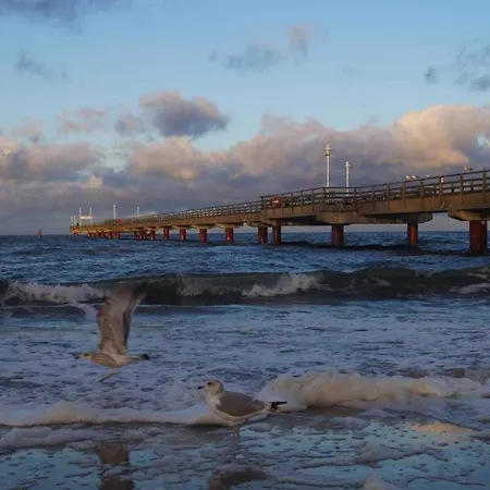 Daniela 1 פרראו